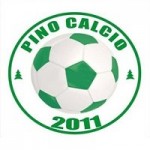 PINO CALCIO SRL